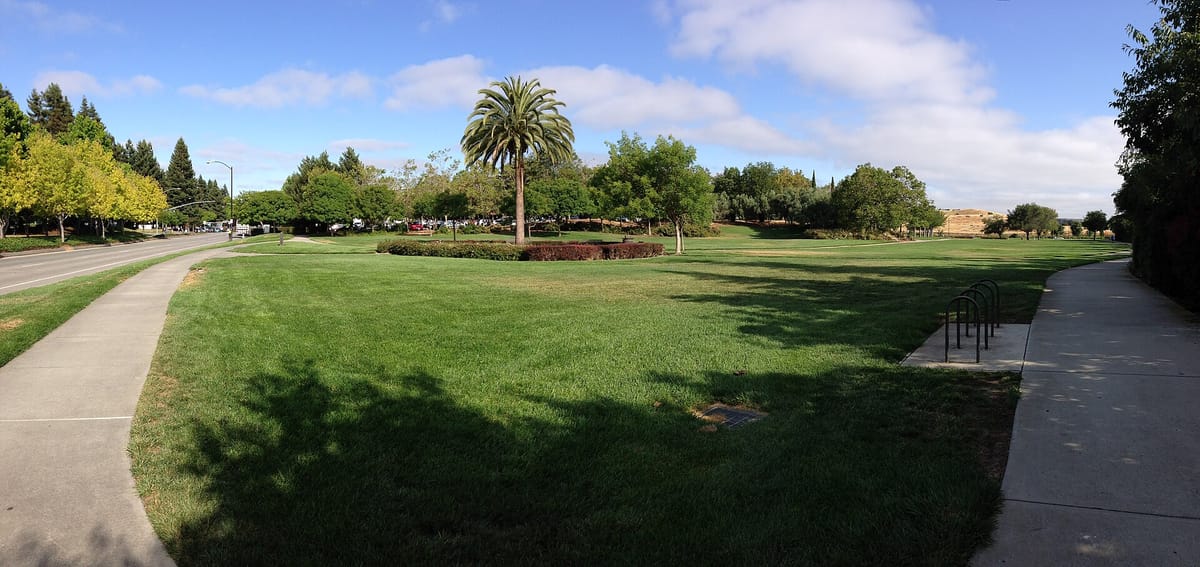 Lawns and paths in Charleston Park