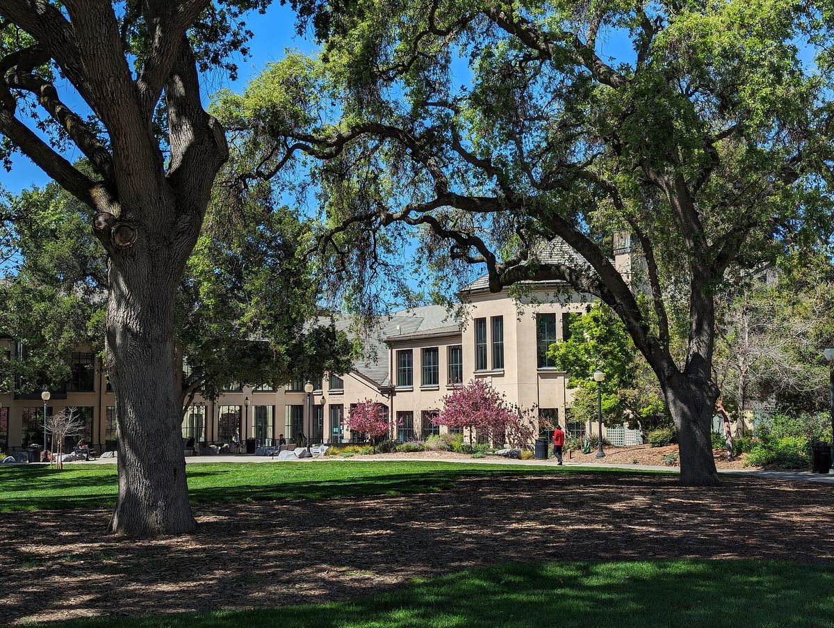The Mountain View Public Library seen from Pioneer Memorial Park