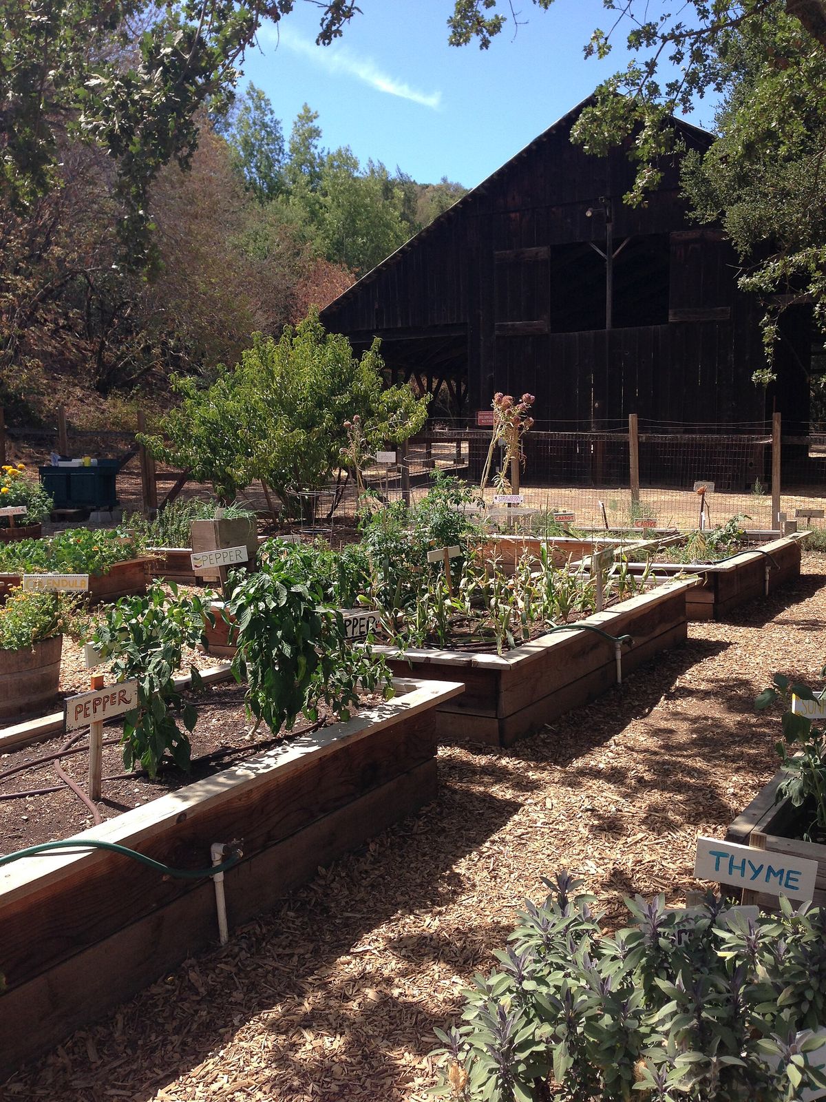 The vegetable garden and open hay barn at Deer Hollow Farm