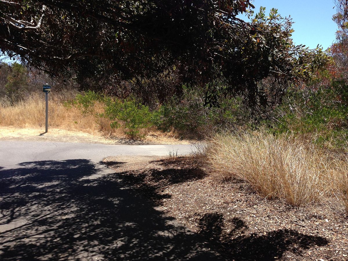 The San Francisco Bay Trail running through Shoreline Park