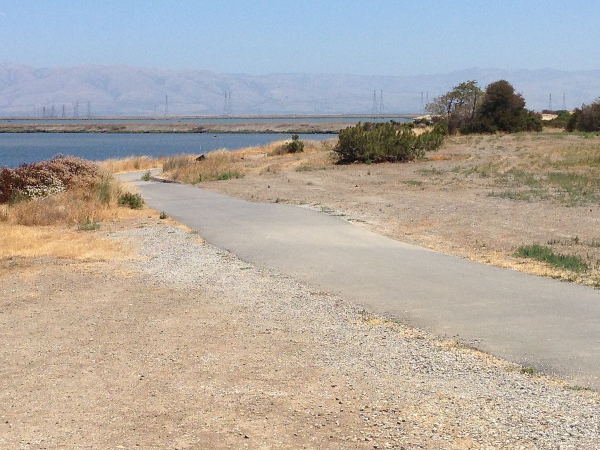 San Francisco Bay seen from the shore at Shoreline Park
