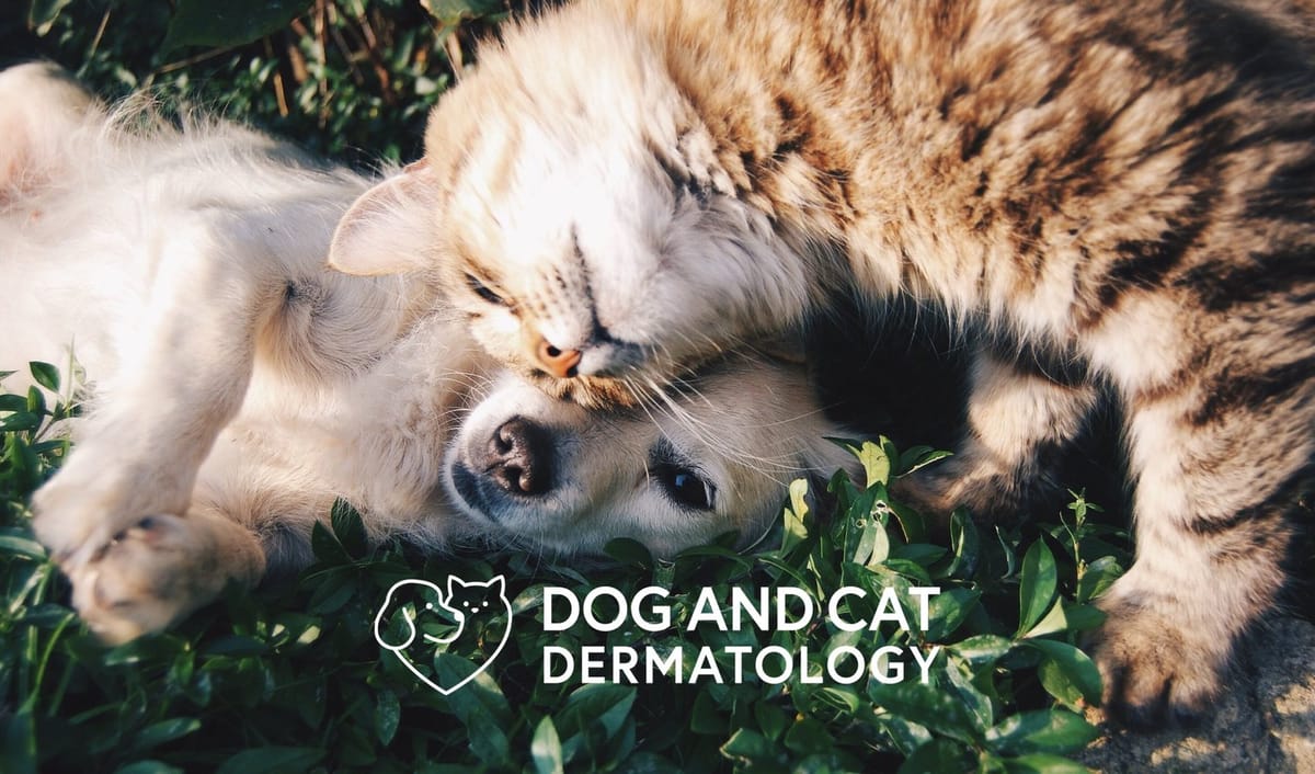 Veterinarians in Mountain View